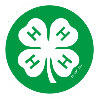 Logo 4-H Camp