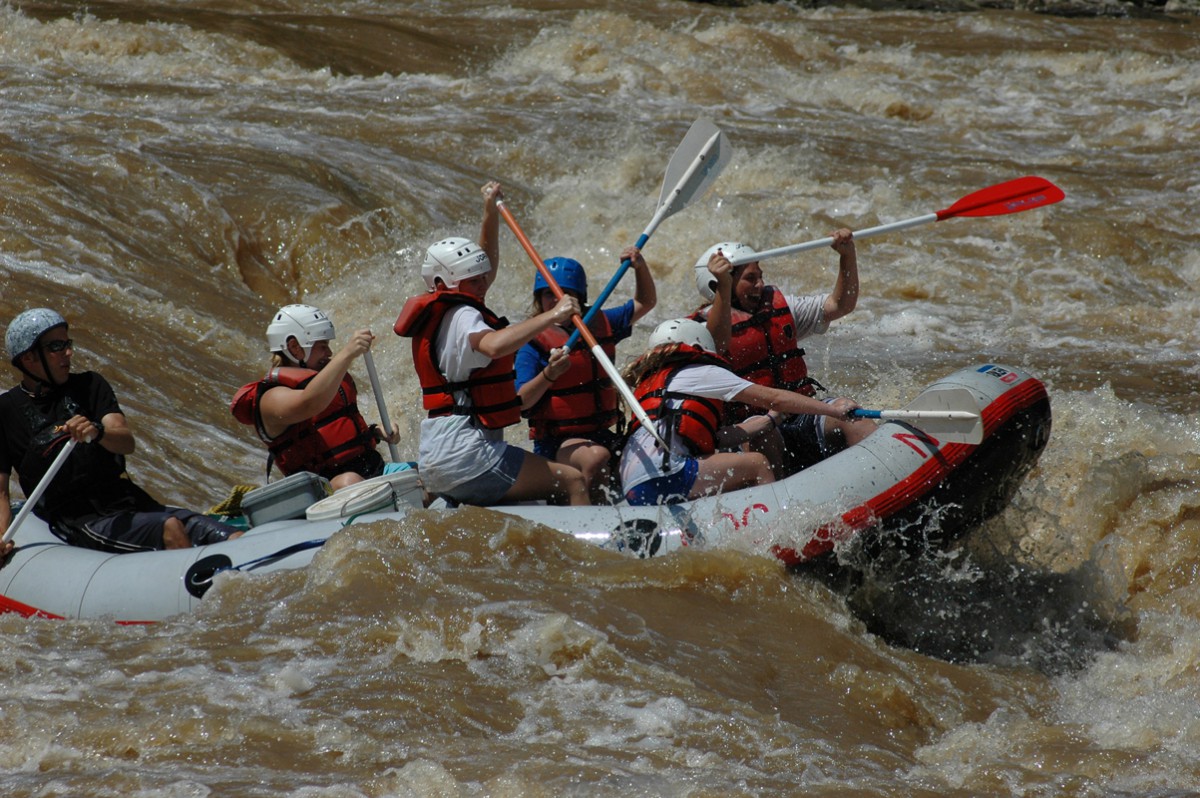 Paddle Through Whitewater Rapids activity