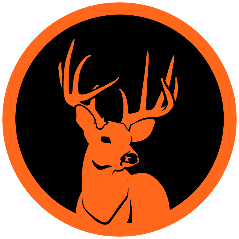 Logo Camp Wildlife
