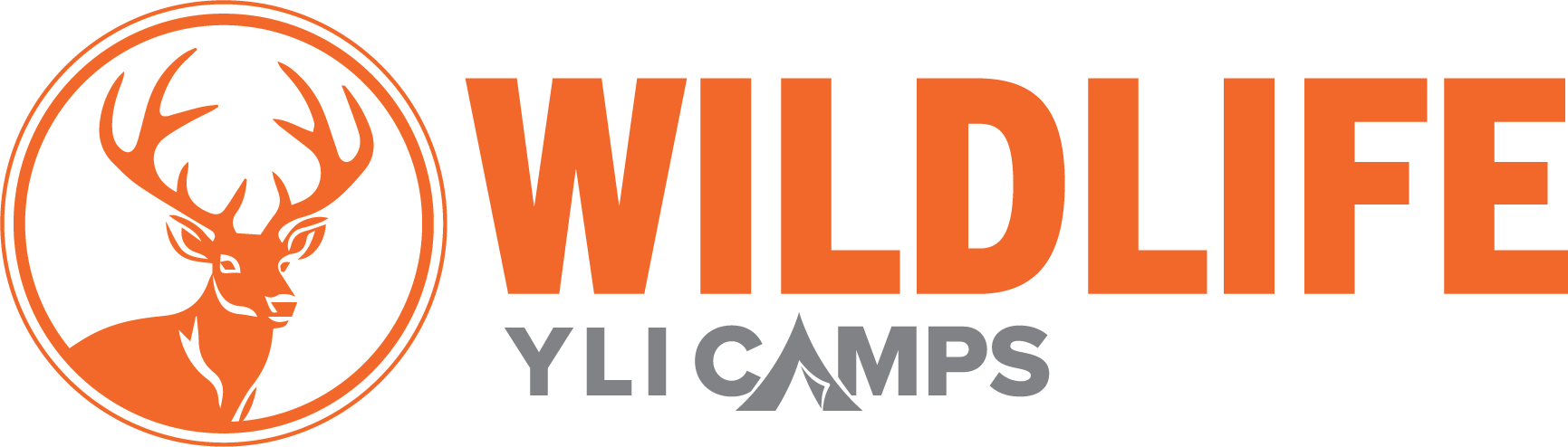 Camp Wildlife